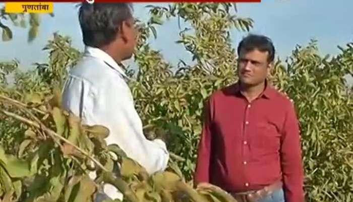 Ground Report On Puntamba Farmers About Loan Waive From Govt