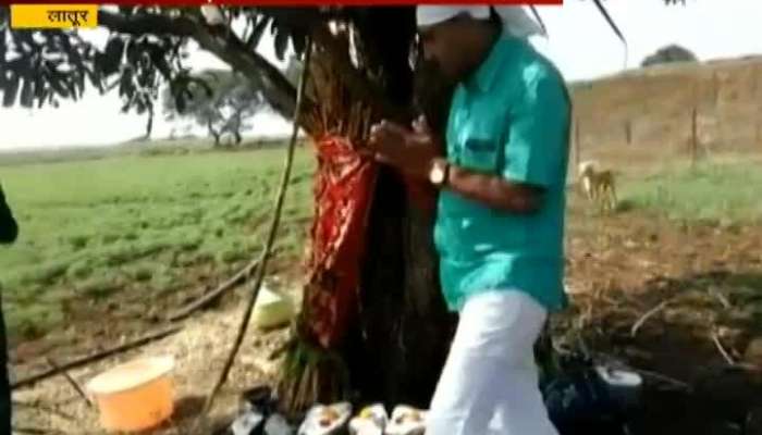 Latur Farmers Celebrate Darshvela Amavasya