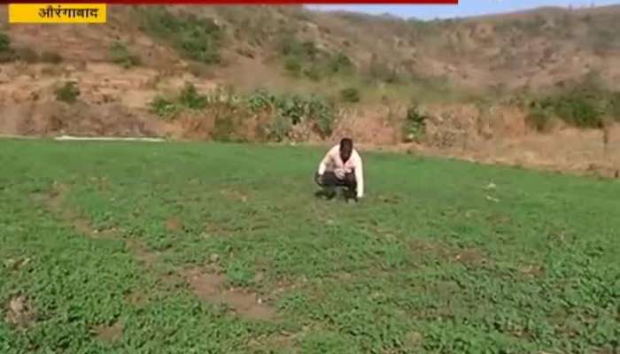 Aurangabad Farmer Pandit Wagh Use Govt Galyukya Shivar Galyukta Dharan For His Farming Benefit