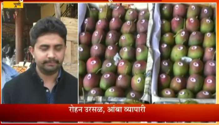Pune,Karnataka Hapoos Mangoes Enter In Market