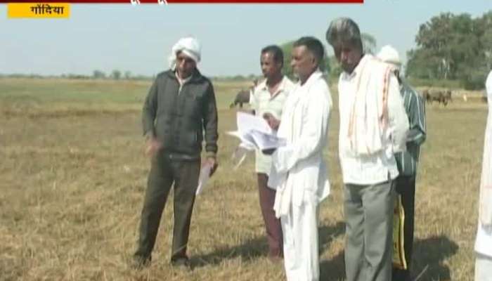  Gondia Zee Helpline On Irrgation Departmet Delay On Land Benefit To Farmers From Last 28 Years