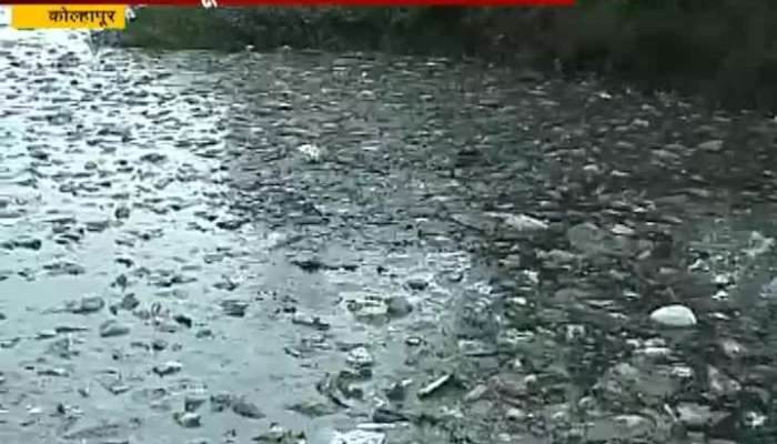 kolhapur residents rally for panchaganga river pollution 
