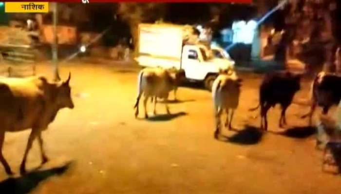 Nashik Zee Helpline Impact Palika Take Action Against Street Animals