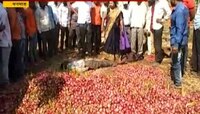 नाशिक | कांद्याचा घसरलेला दर उठला शेतकऱ्याच्या जीवावर   