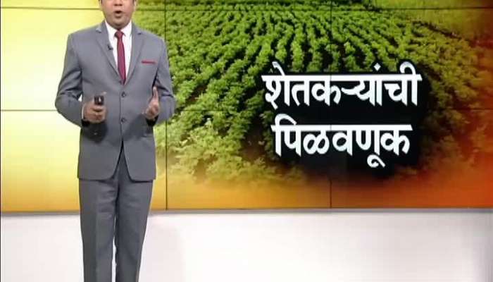 Latur Bank And Insurance Companies Cheated Farmers