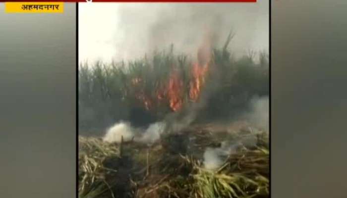 ahmednagar sugarcane farm caught fire due to short circuit 