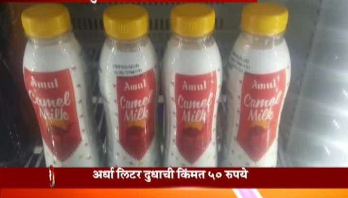 amul to sell camel milk