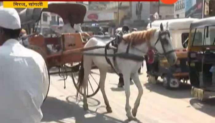 miraj horse carriage driver struggle to survive