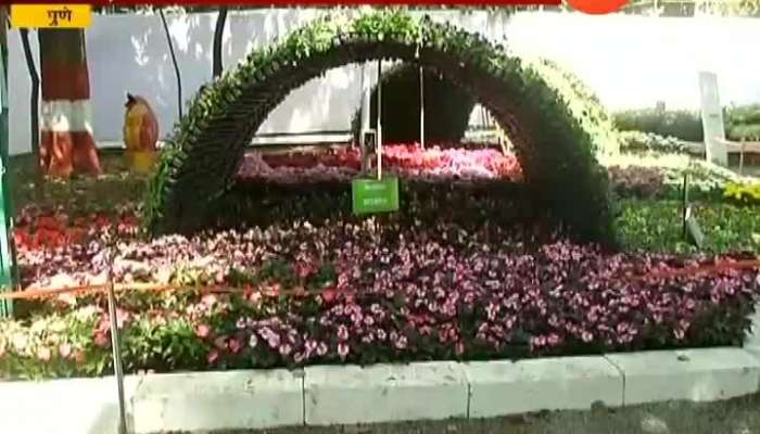 Pune Special Report On empress Botanical Garden Flowers Exhibition