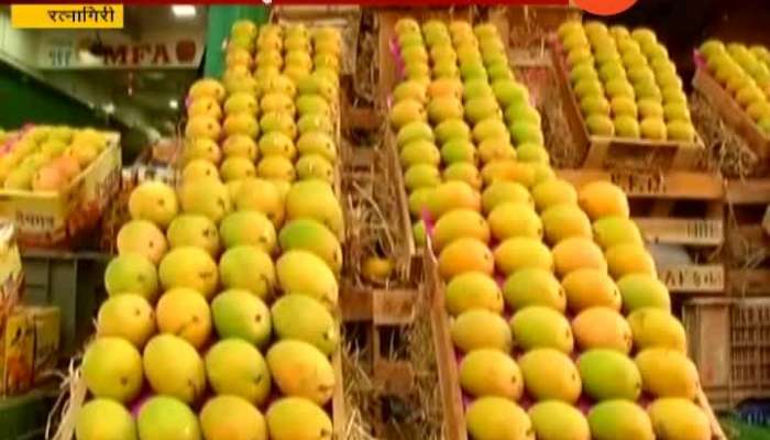 Ratnagairi Hapus alphonso Mango Sellers To Get GI Verification Before Selling Mangoes In Market