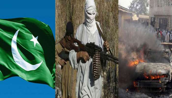 भारतात दहशतवादी हल्ला करण्याचा पाकिस्तानचा कट