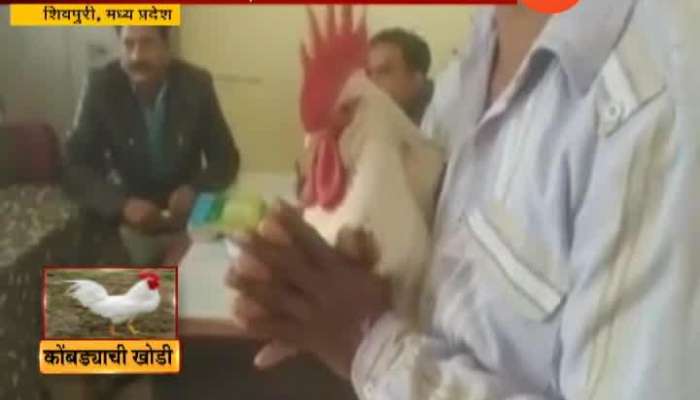 Madhya Pradesh Shivpuri Women Complaint In Police Station