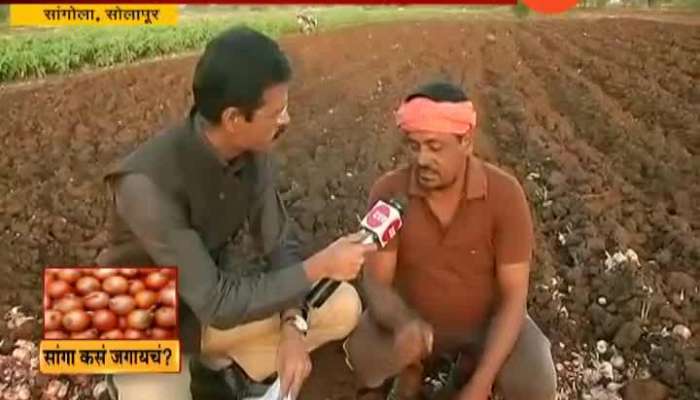 Solapur Sangola Farmers Not Getting Onion Price