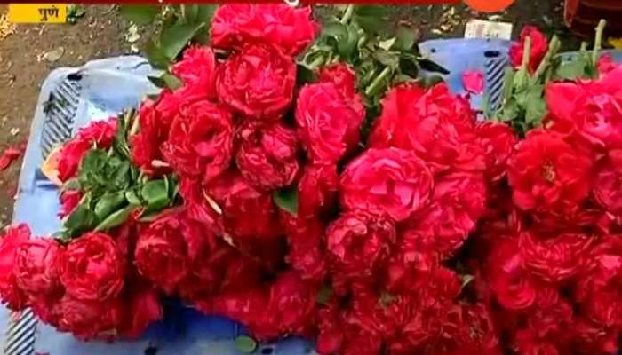 Pune Rose Flower Price Hiked On Eve Of Valentine Day