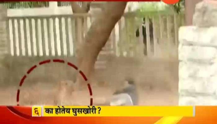 Thane People Under Fear As Leapord Entered Civil Area In Morning Thane People Under Fear As Leapord Entered Civil Area In Morning