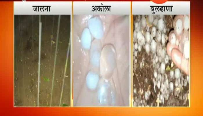 Heavy Hailstorm In Vidarbha And Marathwada