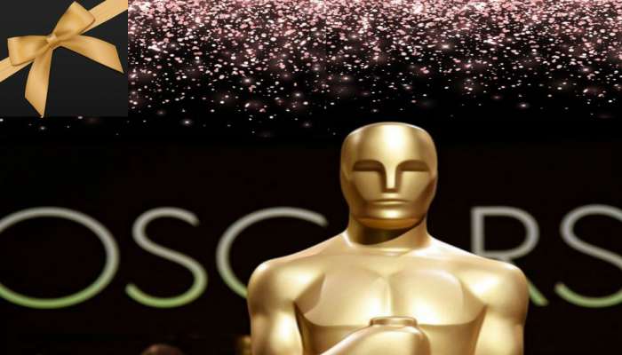 OSCARS 2019 : ऑस्करच्या गुडी बॅगमध्ये दडलंय तरी काय? 