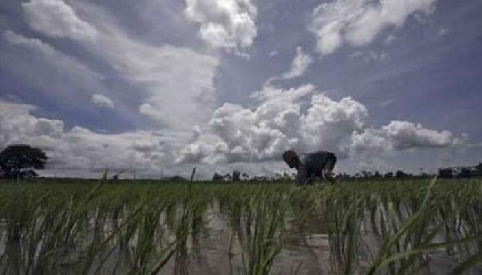 यंदाचा पाऊस समाधानकारक; स्कायमेटचा अंदाज