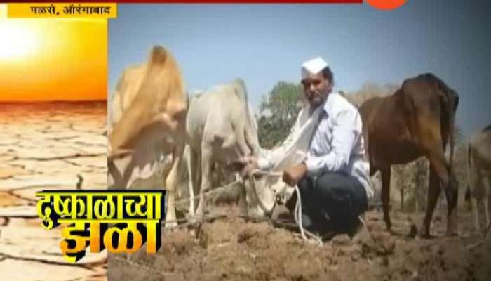 Aurabgabad Palas Farmers And Their Animals In Drought Condition