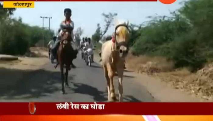 Kolhapur Brave Horse Win After Falling Down In Race