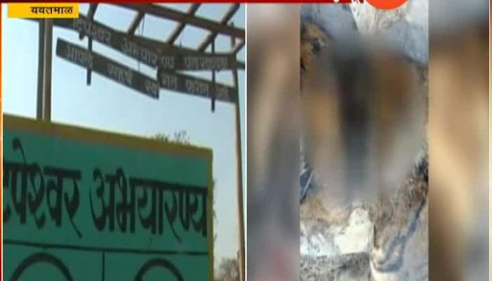T-4 Dies During Rescue Operation In Maharashtra_s Yavatmal