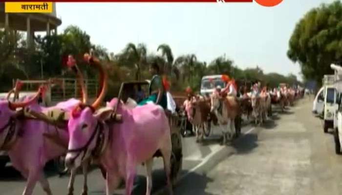  Baramati Marriage Celebration With Bullock Cart
