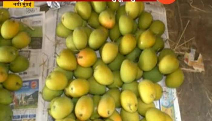 Navi Mumbai APMC Market Not Much Mangoes In Market