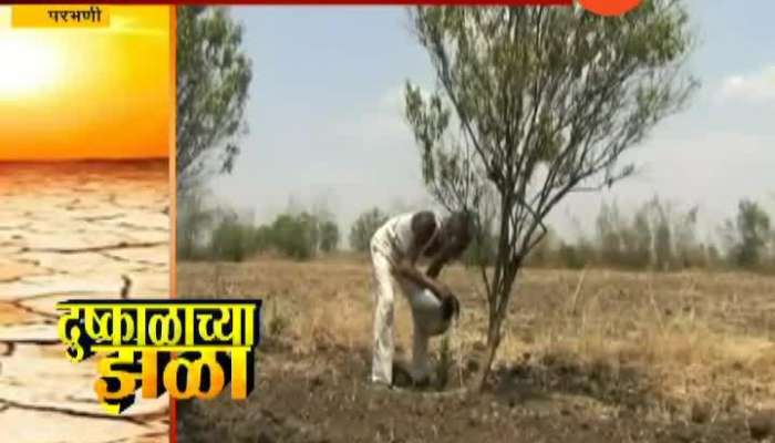 Parbhani Farmers Struggle To Save Farm From Heat As Scarcity Of Water In Drought Situation