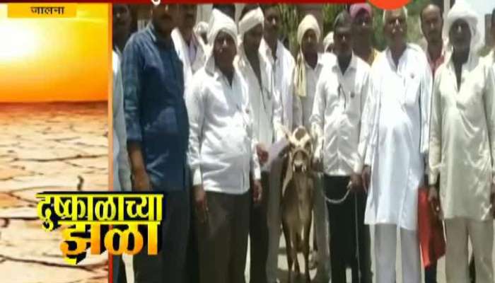 Jalna Angry Shetkari Sanghatna Got Cows Herd Of Goats At Collector Office