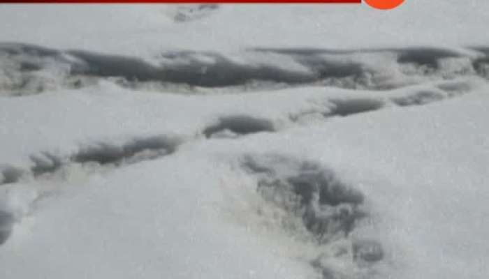 Indian Army Spotted Snowman Yeti Mysterious Footprints In The Himalayas