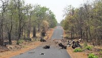 गडचिरोलीत नक्षलवाद्यांचा हल्ला, १६ पोलीस जवान शहीद