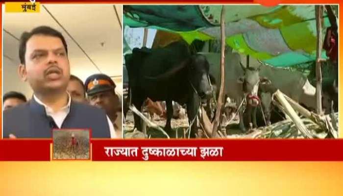 CM Devendra Fadnavis Declared Cattle Camp In Drought Area