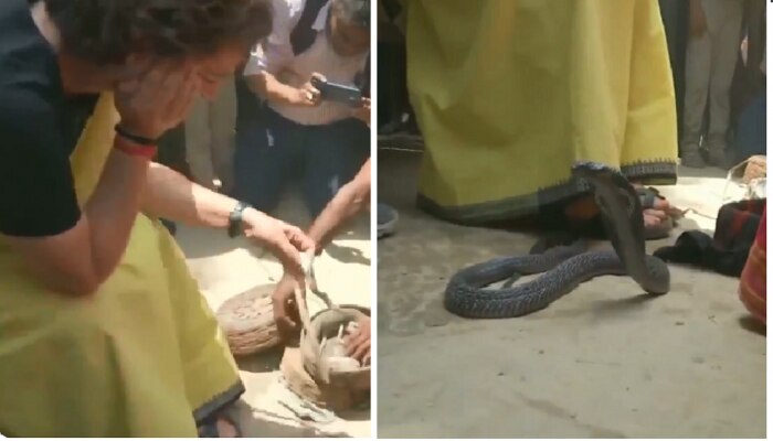 Video: जेव्हा प्रियंका गांधी यांनी हातात धरला साप