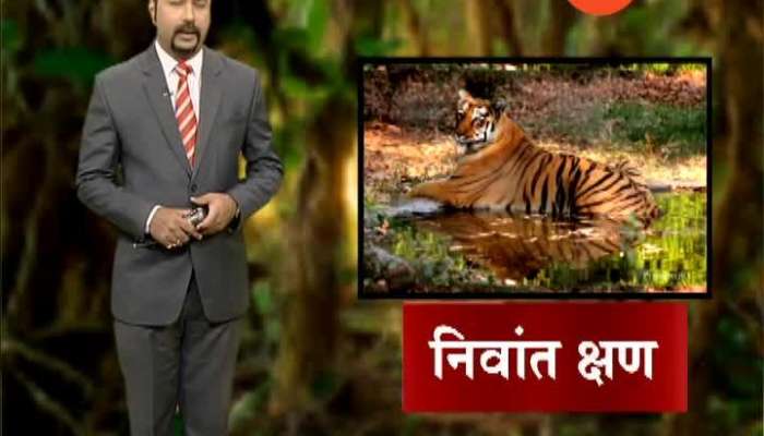 Nagpur Special Report On Maharaj Baug Take Care Of Animals In Summer