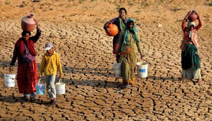 दुष्काळावर परिस्थितीत काकडीचे उत्पादन करत लाखोंचे उत्पादन 