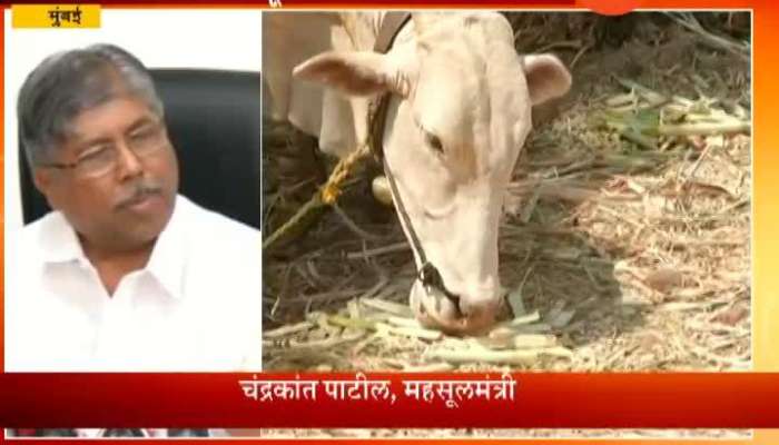 Mumbai Chandrakant Patil On Beed Severe Drought Fodder Camps