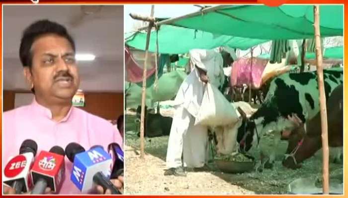 Congress Harshwardhan Patil Criticise Government On Fodder Camp In Drought Situation