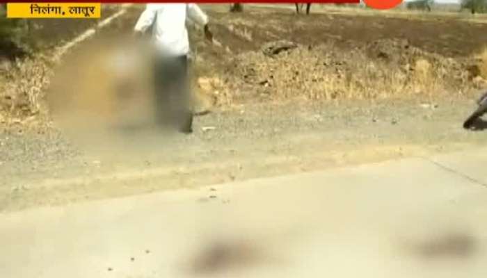 Latur,Nilanga Deer Dead In Car Accident