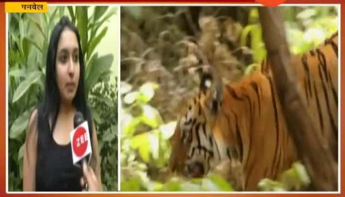  Panvel Aishwarya Shreedhar Rangnathan Mak A Film On Maya Tigress