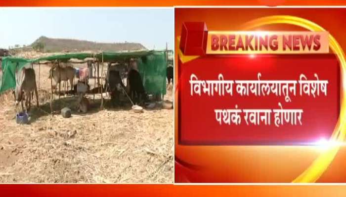 Beed Inquiry To Begin On Fake And Corruption In Animal Fodder Camp