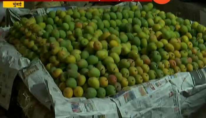 Mumbai FDA Raid Mango Godown And Seize Mangoes