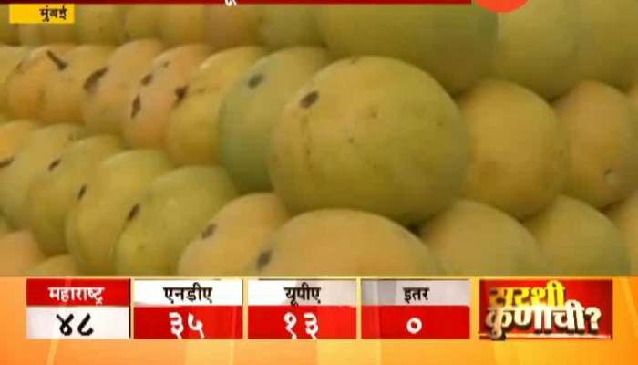 Mumbai How To Identify Hapus Mango