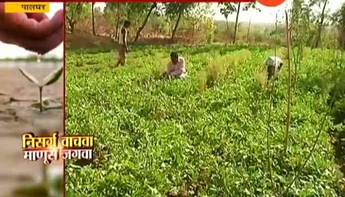 Palghar,Dhulyacha Pada Pragati Pratisthan Help To Farmers For Good Farming