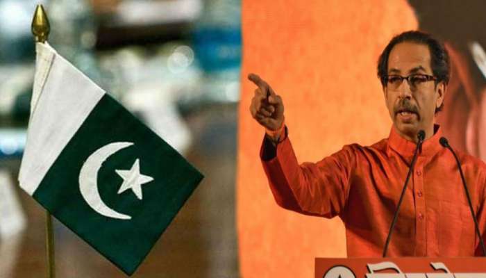 'पाकिस्तान म्हणजे दारु पिऊन झिंगलेलं माकड'