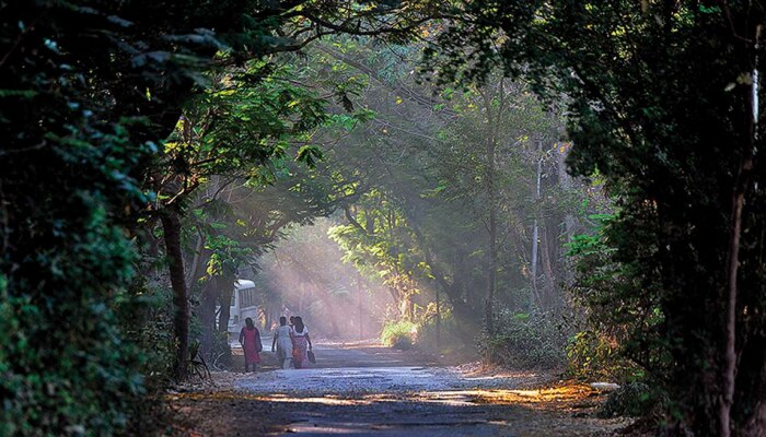 ५०० कोटी खर्चुन &#039;आरे कॉलनी&#039;त उभी राहतेय &#039;नाईट झू सफारी&#039;