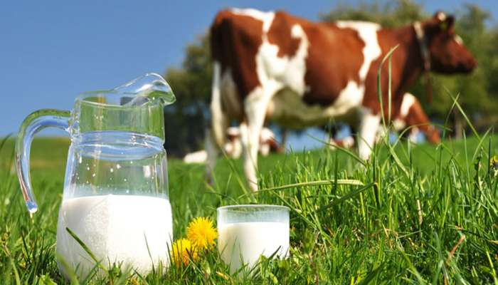 गाईचे दूध महागले, दरात दोन रुपयांची वाढ