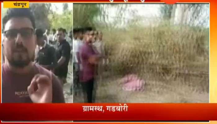 Chandrapur Leopard Killed Women Sleeping In Home