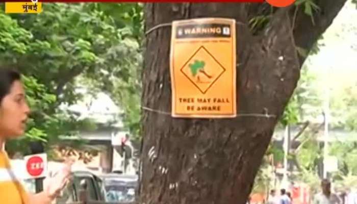 Mumbai BMC Puts Poster On Tree Warning Tree Can Be Dangerous And May Fall In Heavy Rain