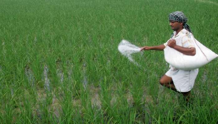 शेतकऱ्यांना १५ दिवसांत पिक कर्ज द्या; सरकारचे बँकांना आदेश 