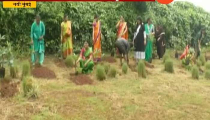 New Mumbai Palika Womens Staff Make A Tree Plantation For VatPornima